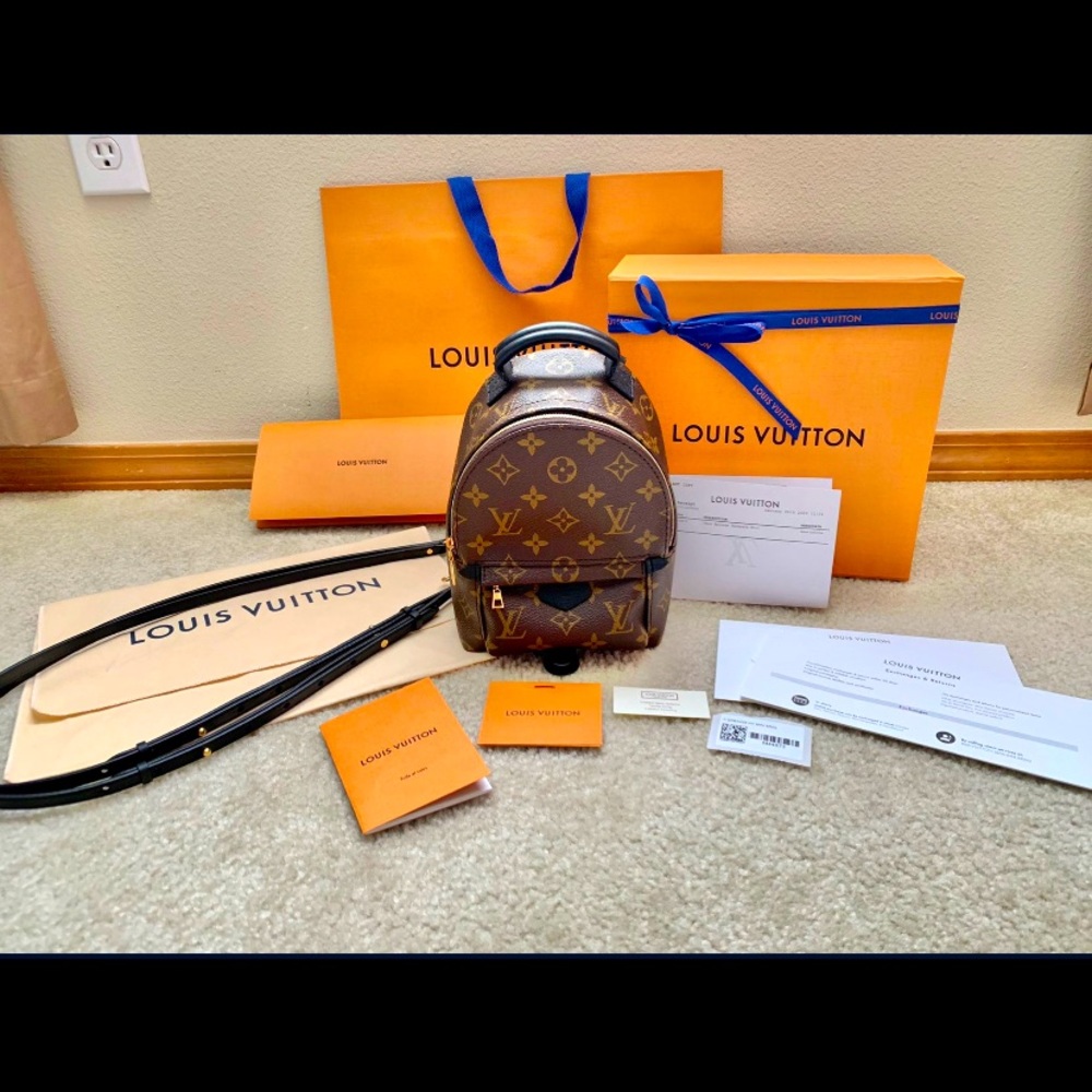 Louis Vuitton Palm Spring mini